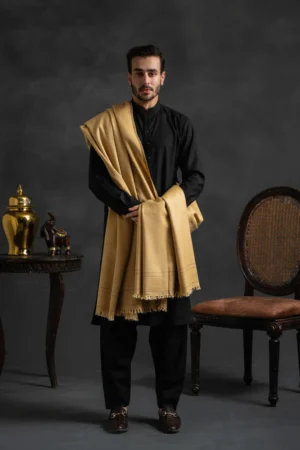 Kashmiri Men Shawl - Image 4